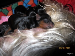 img_1308.jpg
