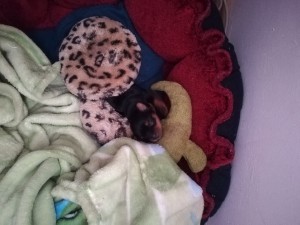 img_20220116_113312.jpg