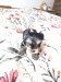 IMG_20260803_130654799_BURST000_COVER